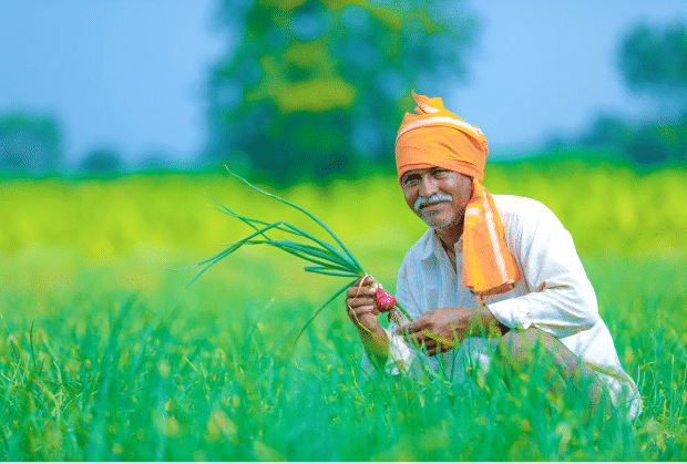 Agriculture & Farming