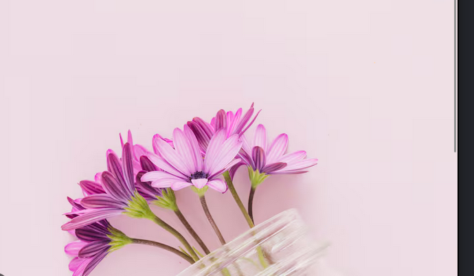 Beauty & Wellness